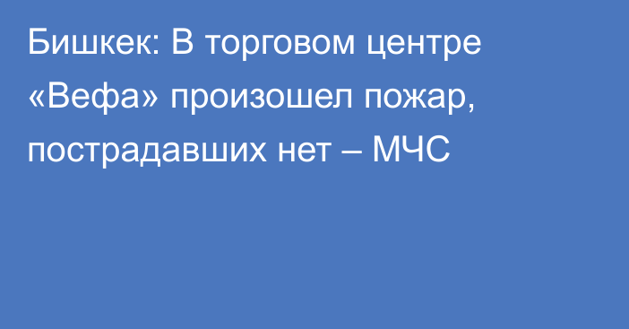 Бишкек: В торговом центре «Вефа» произошел пожар, пострадавших нет – МЧС