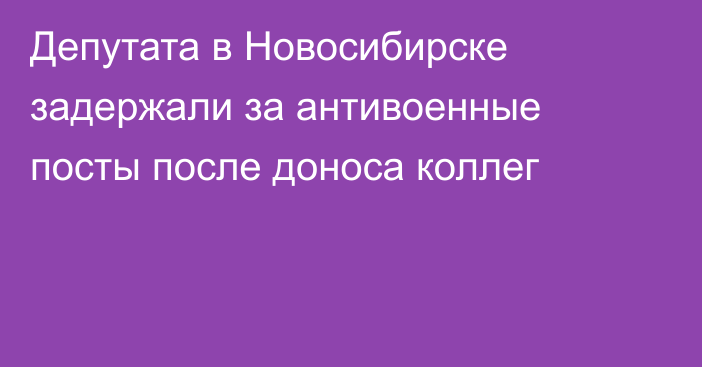 Депутата в Новосибирске задержали за антивоенные посты после доноса коллег