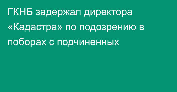 ГКНБ задержал директора «Кадастра» по подозрению в поборах с подчиненных