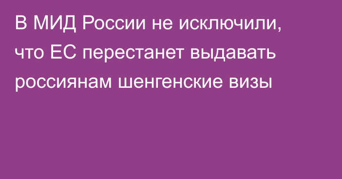 В МИД России не исключили, что ЕС перестанет выдавать россиянам шенгенские визы