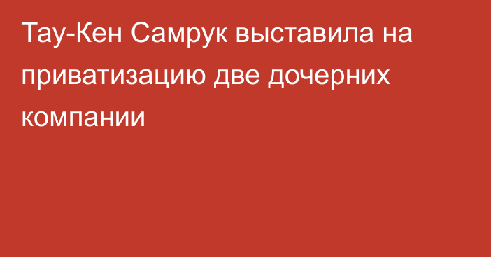 Тау-Кен Самрук выставила на приватизацию две дочерних компании