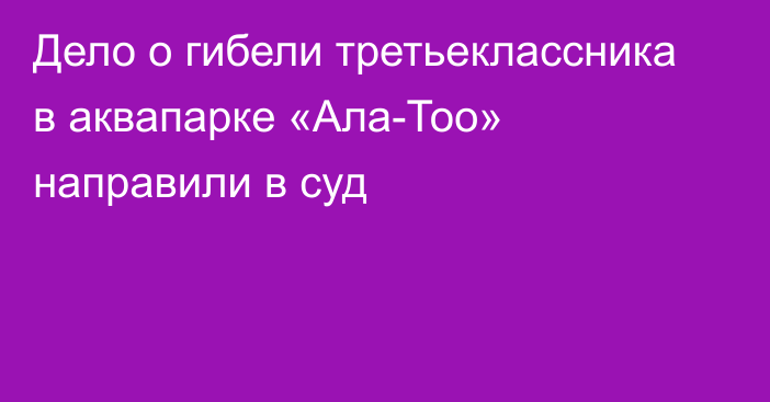 Дело о гибели третьеклассника в аквапарке «Ала-Тоо» направили в суд