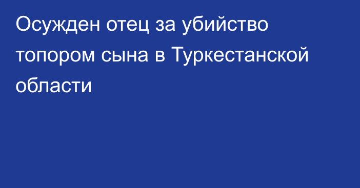 Осужден отец за убийство топором сына в Туркестанской области