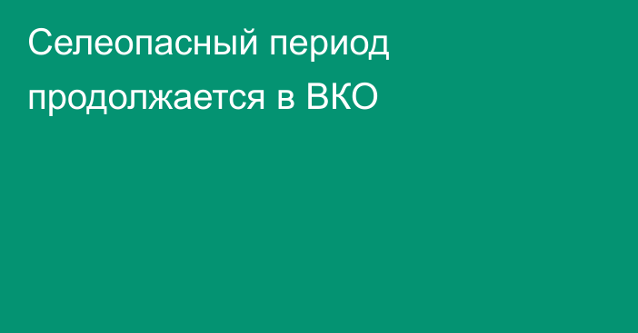 Селеопасный период продолжается в ВКО