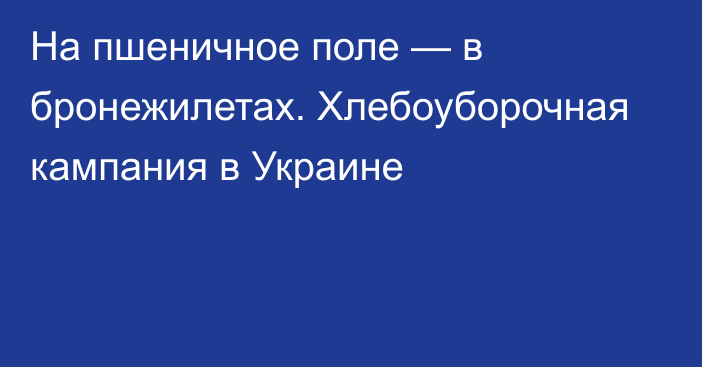 На пшеничное поле — в бронежилетах. Хлебоуборочная кампания в Украине