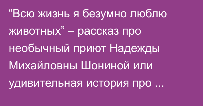 “Всю жизнь я безумно люблю животных” – рассказ про необычный приют Надежды Михайловны Шониной или удивительная история про дойную собаку