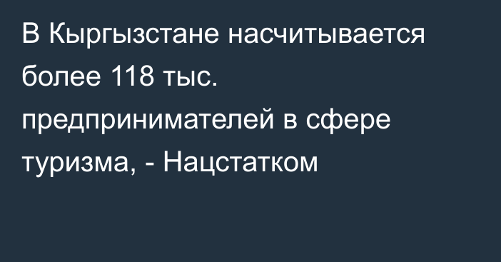 В Кыргызстане насчитывается более 118 тыс. предпринимателей в сфере туризма, - Нацстатком