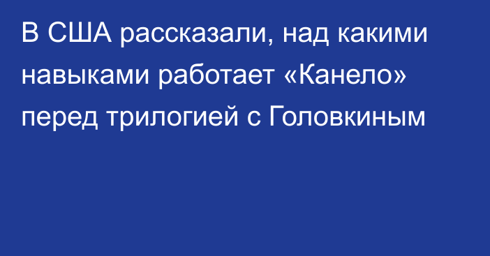 В США рассказали, над какими навыками работает «Канело» перед трилогией с Головкиным