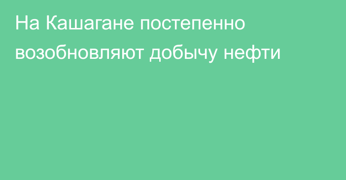 На Кашагане постепенно возобновляют добычу нефти