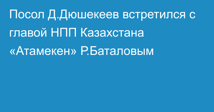 Посол Д.Дюшекеев встретился с главой НПП Казахстана «Атамекен» Р.Баталовым