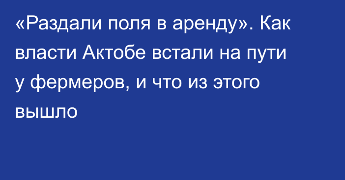 «Раздали поля в аренду». Как власти Актобе встали на пути у фермеров, и что из этого вышло