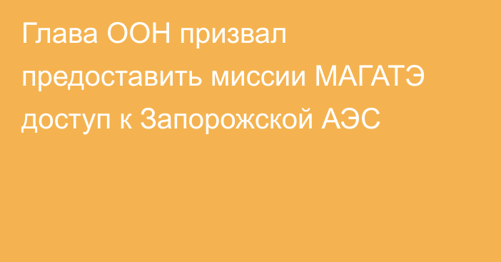 Глава ООН призвал предоставить миссии МАГАТЭ доступ к Запорожской АЭС