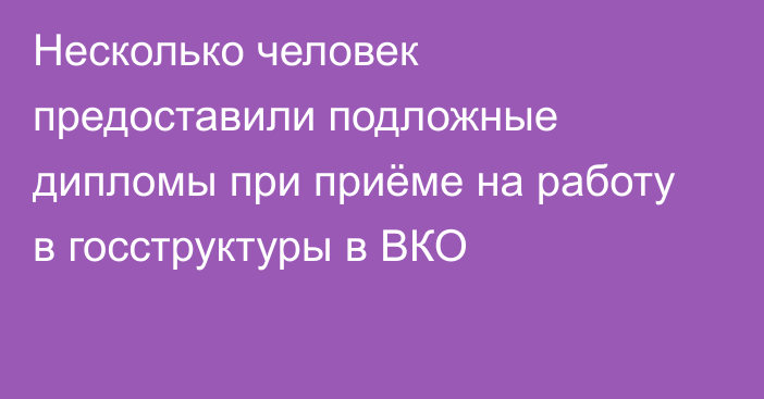 Несколько человек предоставили подложные дипломы при приёме на работу в госструктуры в ВКО