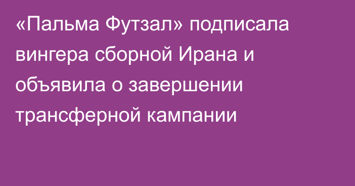 «Пальма Футзал» подписала вингера сборной Ирана и объявила о завершении трансферной кампании