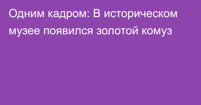 Одним кадром: В историческом музее появился золотой комуз