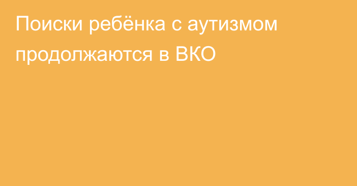 Поиски ребёнка с аутизмом продолжаются в ВКО