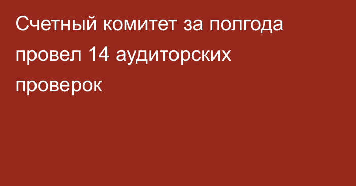 Счетный комитет за полгода провел 14 аудиторских проверок