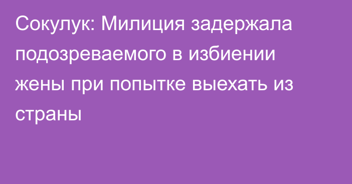 Сокулук: Милиция задержала подозреваемого в избиении жены при попытке выехать из страны