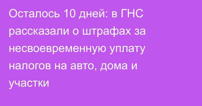 Осталось 10 дней: в ГНС рассказали о штрафах за несвоевременную уплату налогов на авто, дома и участки