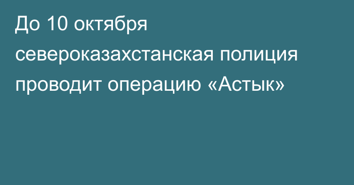 До 10 октября североказахстанская полиция проводит операцию «Астык»