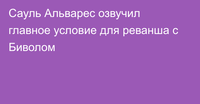 Сауль Альварес озвучил главное условие для реванша с Биволом