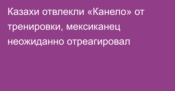 Казахи отвлекли «Канело» от тренировки, мексиканец неожиданно отреагировал