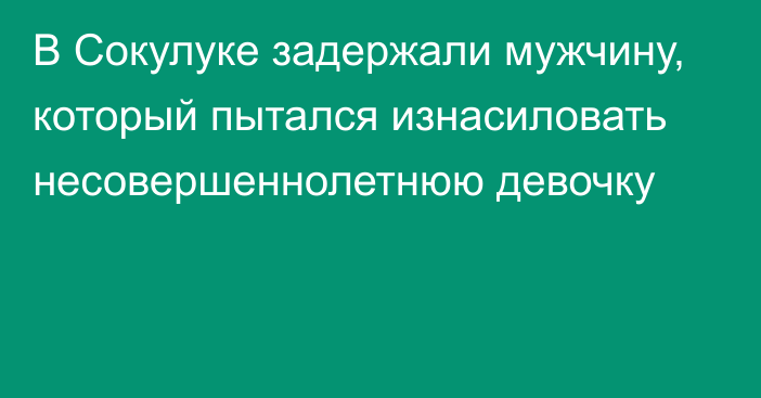 В Сокулуке задержали мужчину, который пытался изнасиловать несовершеннолетнюю девочку