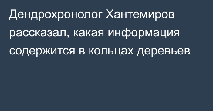 Дендрохронолог Хантемиров рассказал, какая информация содержится в кольцах деревьев