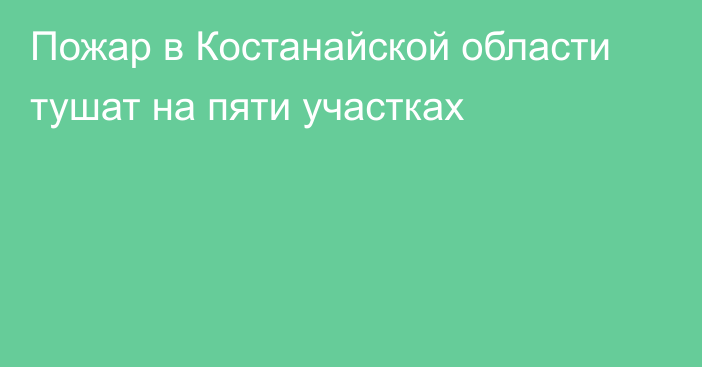 Пожар в Костанайской области тушат на пяти участках