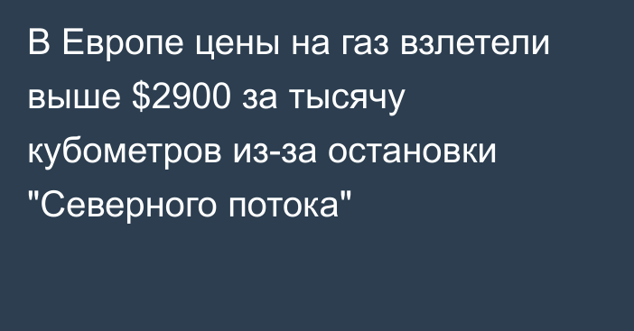 В Европе цены на газ взлетели выше $2900 за тысячу кубометров из-за остановки 