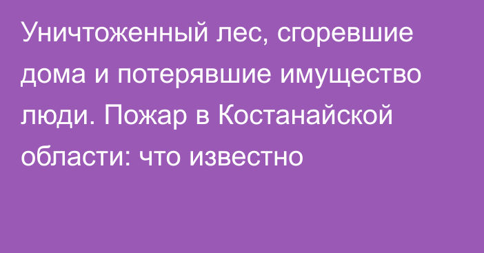 Уничтоженный лес, сгоревшие дома и потерявшие имущество люди. Пожар в Костанайской области: что известно