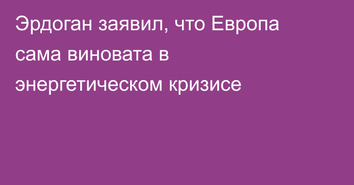 Эрдоган заявил, что Европа сама виновата в энергетическом кризисе