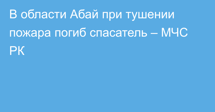 В области Абай при тушении пожара погиб спасатель – МЧС РК