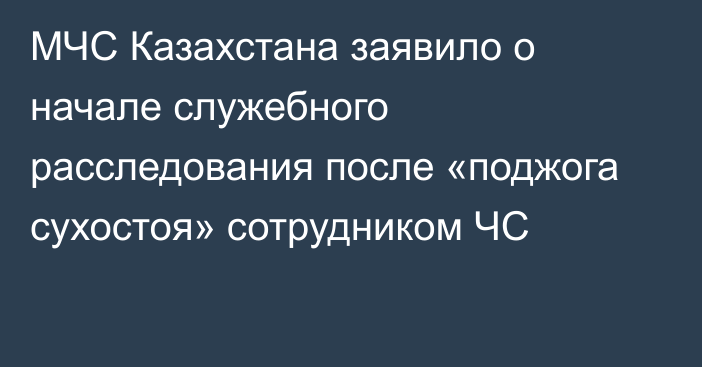 МЧС Казахстана заявило о начале служебного расследования после «поджога сухостоя» сотрудником ЧС