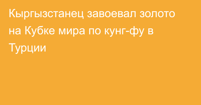 Кыргызстанец завоевал золото на Кубке мира по кунг-фу в Турции