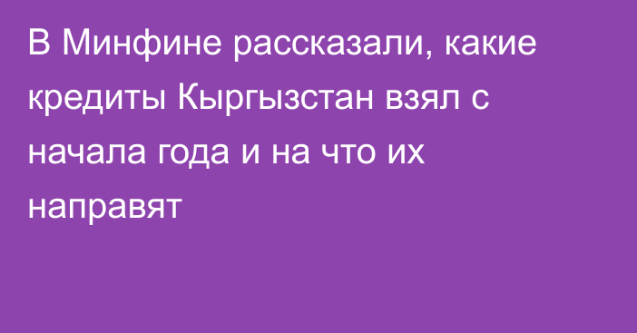 В Минфине рассказали, какие кредиты Кыргызстан взял с начала года и на что их направят