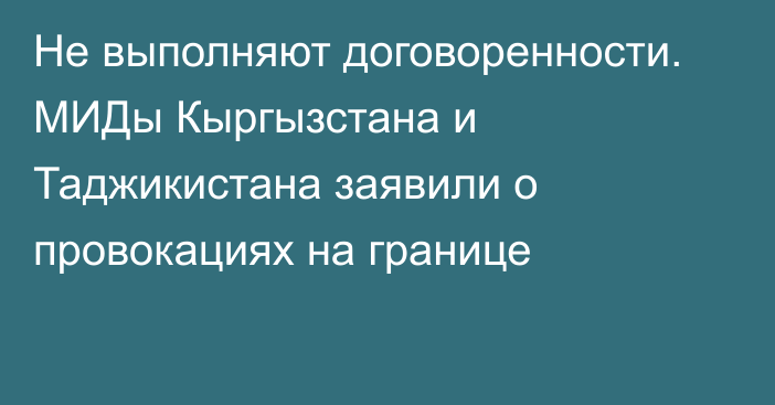 Не выполняют договоренности. МИДы Кыргызстана и Таджикистана заявили о провокациях на границе