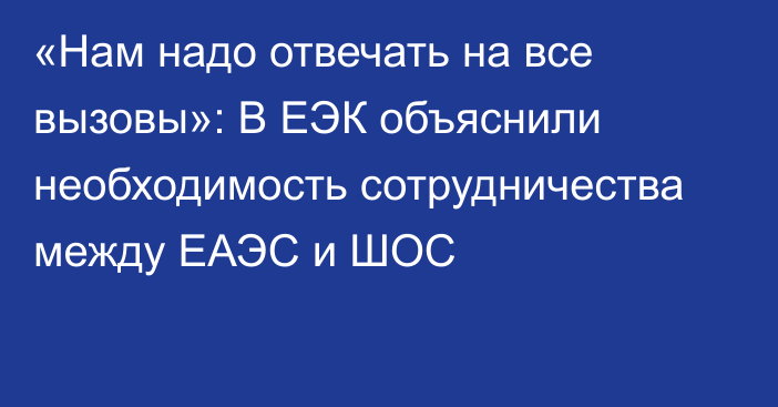 «Нам надо отвечать на все вызовы»: В ЕЭК объяснили необходимость сотрудничества между ЕАЭС и ШОС