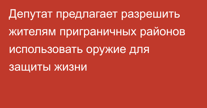 Депутат предлагает разрешить жителям приграничных районов использовать оружие для защиты жизни