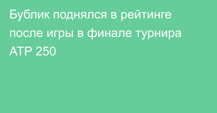 Бублик поднялся в рейтинге после игры в финале турнира ATP 250