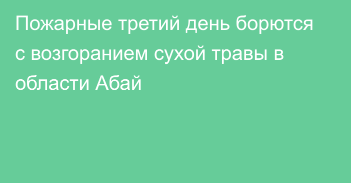 Пожарные третий день борются с возгоранием сухой травы в области Абай