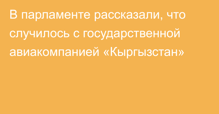 В парламенте рассказали, что случилось с государственной авиакомпанией «Кыргызстан»