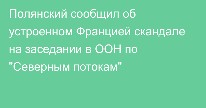 Полянский сообщил об устроенном Францией скандале на заседании в ООН по 