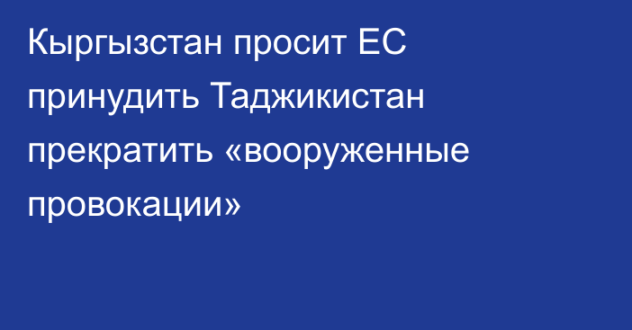 Кыргызстан просит ЕС принудить Таджикистан прекратить «вооруженные провокации»