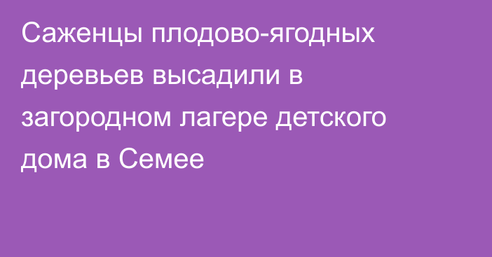 Саженцы плодово-ягодных деревьев высадили в загородном лагере детского дома в Семее