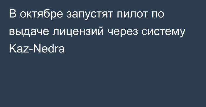 В октябре запустят пилот по выдаче лицензий через систему Kaz-Nedra