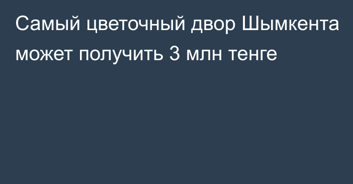 Самый цветочный двор Шымкента может получить 3 млн тенге