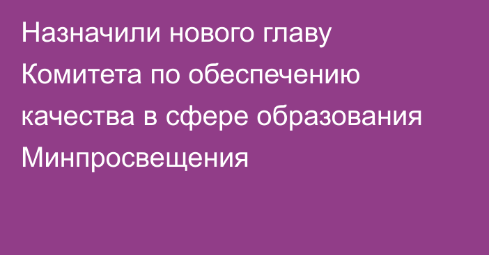 Назначили нового главу Комитета по обеспечению качества в сфере образования Минпросвещения