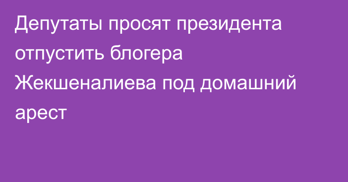 Депутаты просят президента отпустить блогера Жекшеналиева под домашний арест