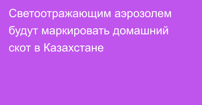 Светоотражающим аэрозолем будут маркировать домашний скот в Казахстане